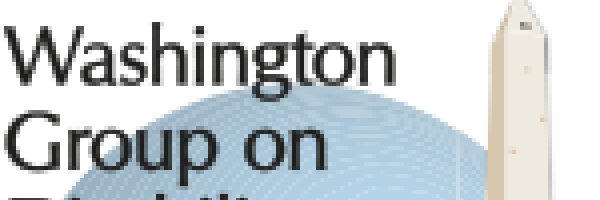 Washington Group logo